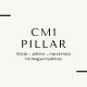 CM 1 Pillar natural wax 1kg