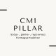 CM 1 Pillar natural wax 10 kg