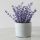 Lavender fragrance oil 1kg