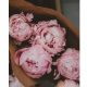 Fresh cut peony fragrance oil 30g