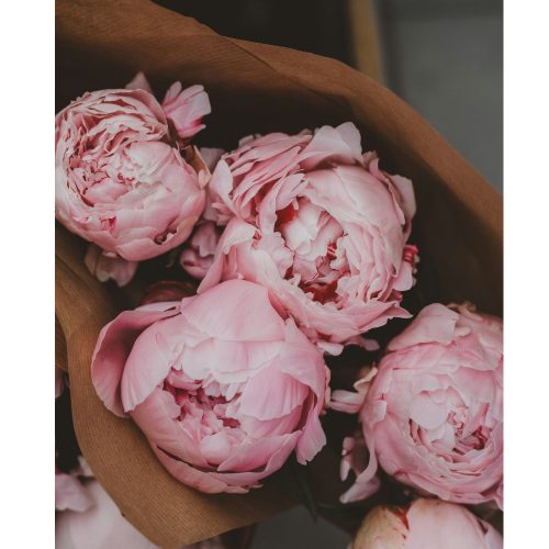 Fresh cut peony fragrance oil 100g