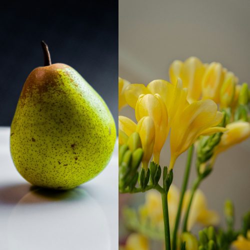 Pear and Freesia fragrance oil 50g